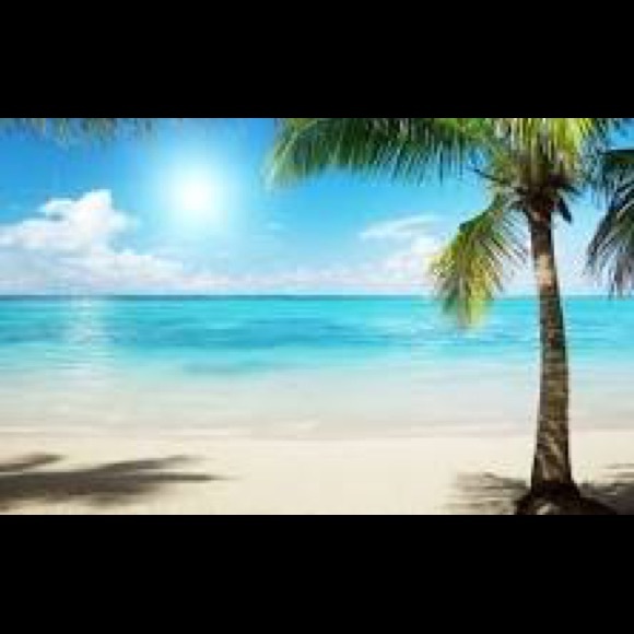 Meet your Posher, Medora - Picture 1 of 1